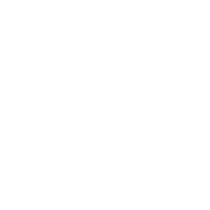 World Learning