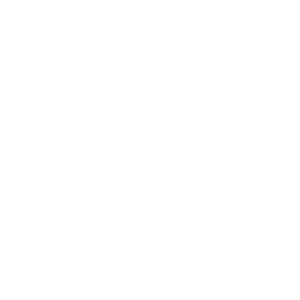 The Lebanese Transparency Association