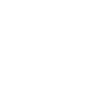 Danmission