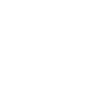 Toyota-Tsush