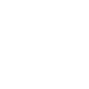 Adyan Foundation